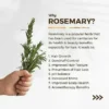 Kormesic Garlic Rosemary Shampoo - Image 4